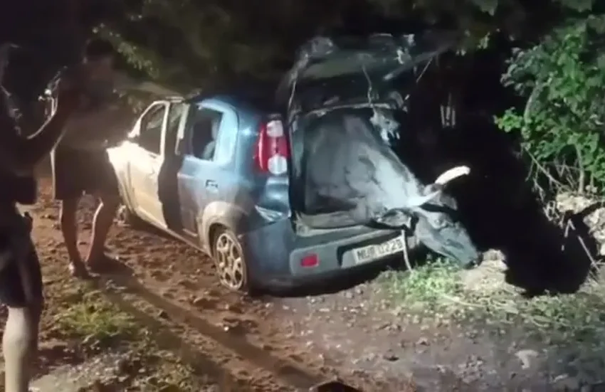 Boi de grande porte é resgatado de bagageiro de carro furtado no Ceará. (vídeo)