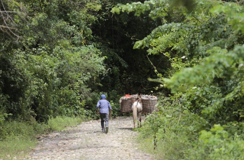  Ceará receberá R$ 252 milhões para projetos de desenvolvimento sustentável no semiárido.