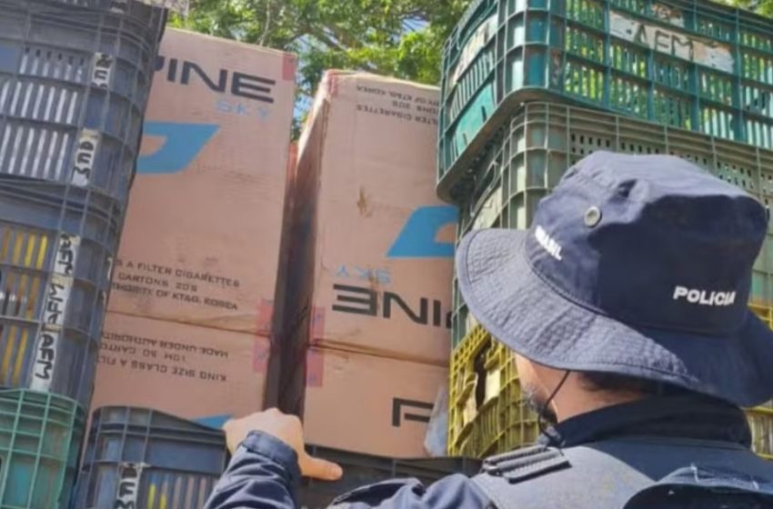  100 mil carteiras de cigarro contrabandeadas são apreendidas escondidas em caminhão com frutas no Ceará.