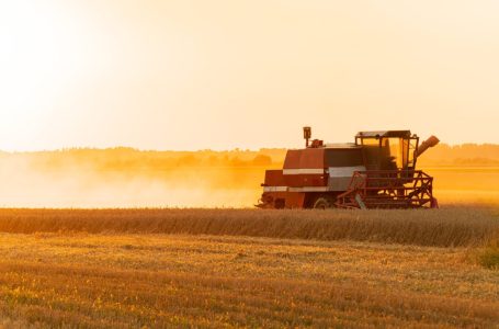 BNDES aprova R$ 52,3 bilhões em financiamentos para o agro em 2024.