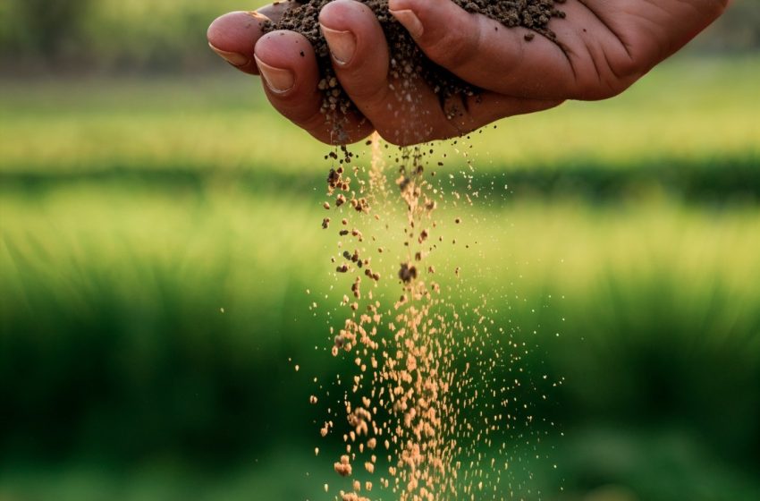 No Dia Mundial do Fertilizante, Projeto Santa Quitéria se destaca como essencial para segurança alimentar nacional.